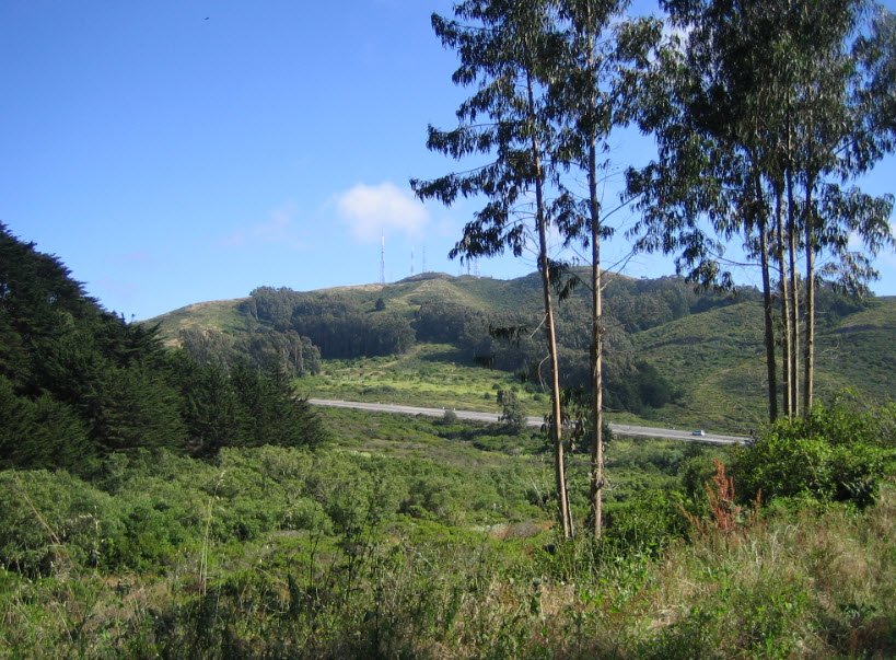 San Bruno Mountain State Park, California, USA